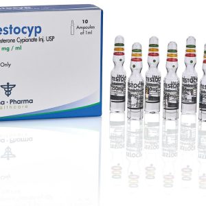 Testocyp amp.