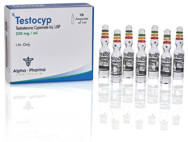 Testocyp amp.