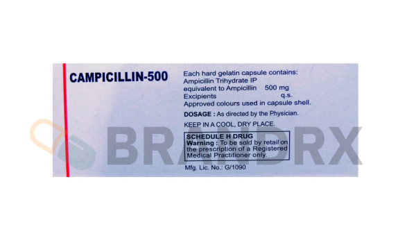 Campicillin 500 mg - Image 2