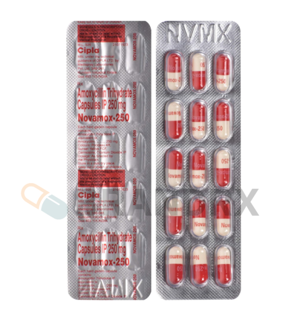 Novamox 250 mg - Image 3
